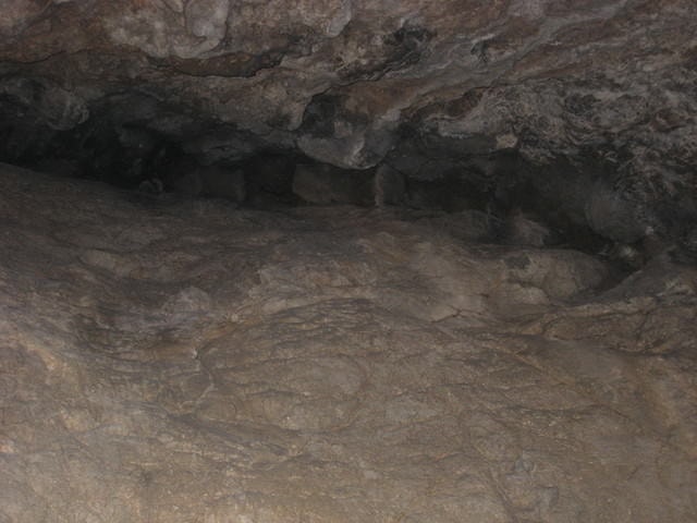 20241010-83uyg