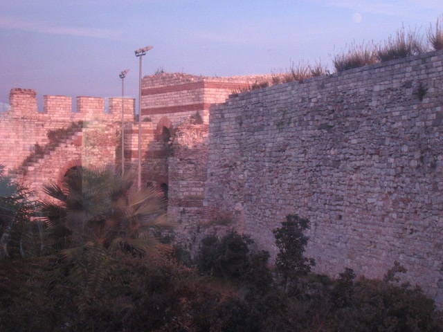 20241010-adrrq