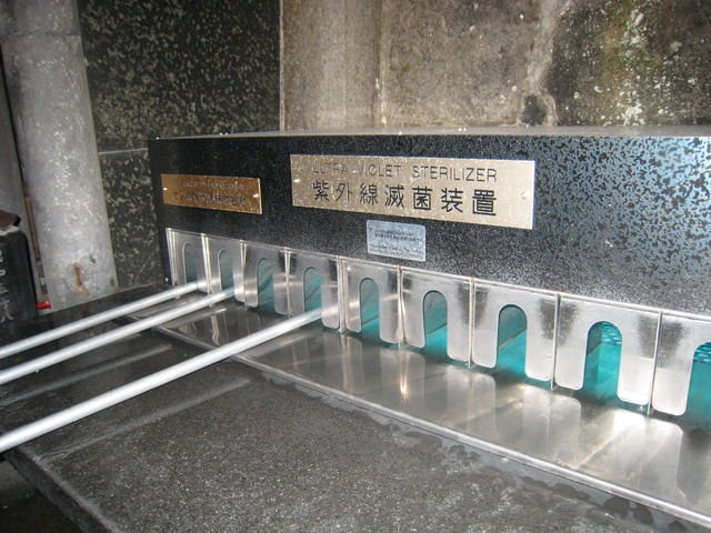 20241010-g6bn6