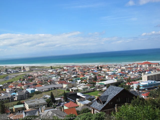 旅遊新地圖。South Africa。　Day3-2　Fish Hoek龍蝦大餐+餵鳥鳥不領情→博德斯海岸【企鵝保護區】
