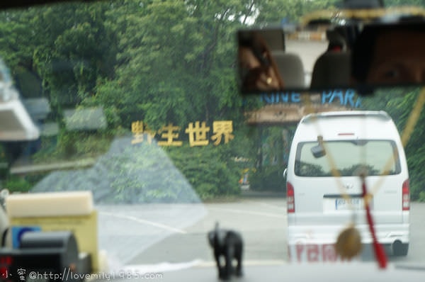20241011-0lykj