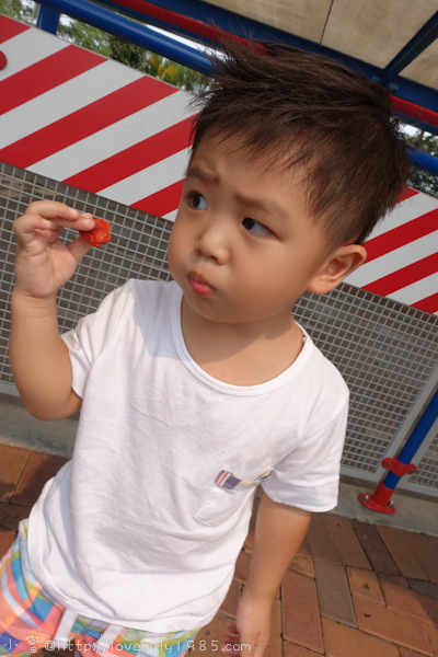 20241011-6nnoi