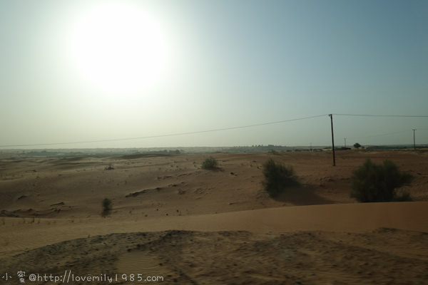 20241011-2csgp