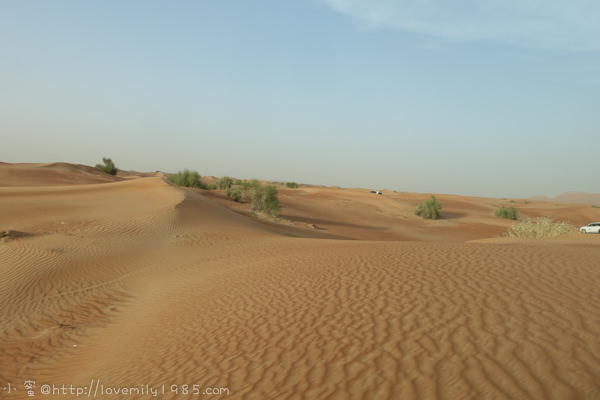 20241011-wm8ou