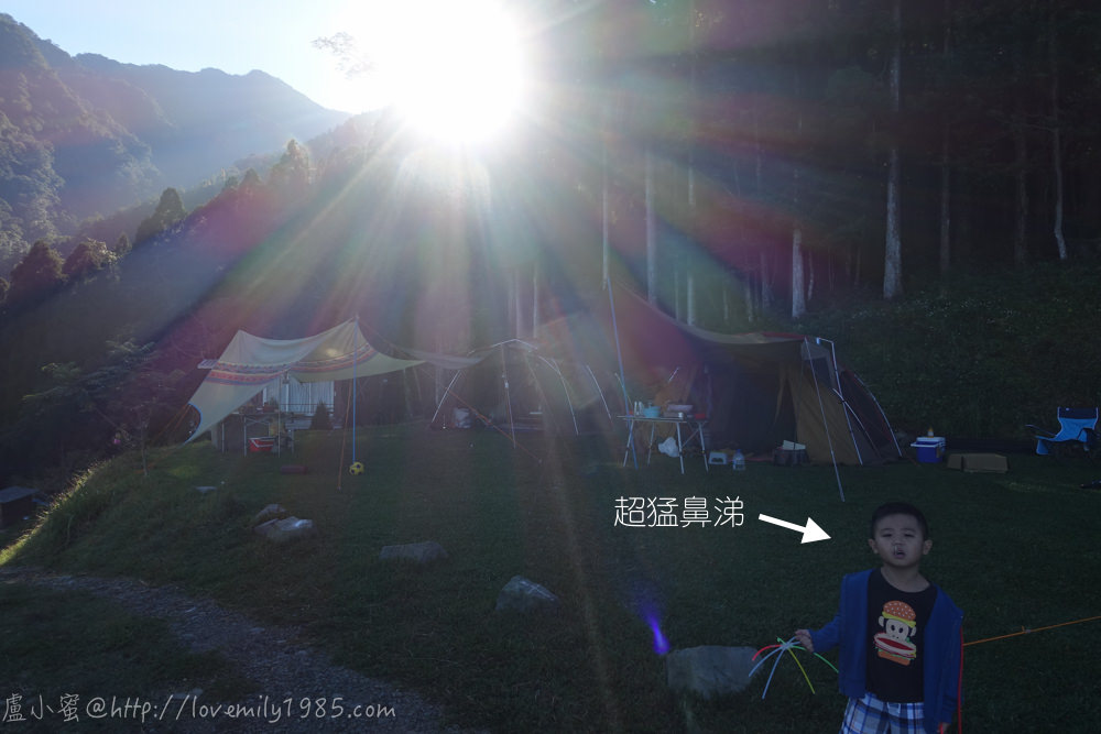 20241012-m29gf