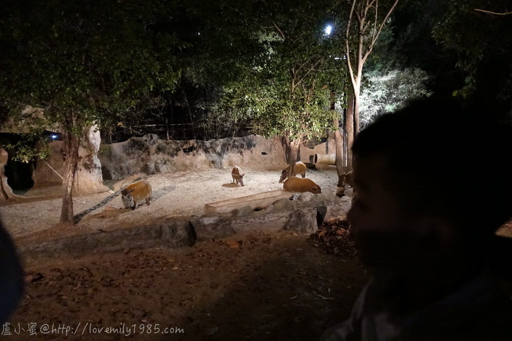 20241012-4jipu