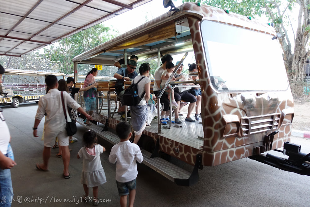 【泰國。清邁】超親近動物的親子自由行 Day5-3 清邁夜間動物園Chiang Mai Night Safari(下)，搭乘遊園車看野生動物→再逛Night Bazaar