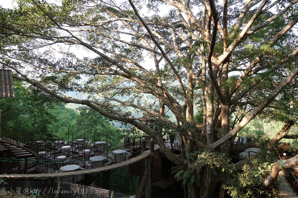 【泰國。清邁】超親近動物的親子自由行 Day2-2 The Giant Chiangmai Thailand/巨樹咖啡屋