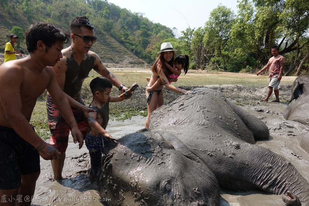【泰國。清邁】超親近動物的親子自由行 Day3-2 推薦必玩景點！友善大象體驗營。不騎大象，陪大象一整天(下午：跟大象一起玩泥巴，幫大象洗澡，有很多影片)