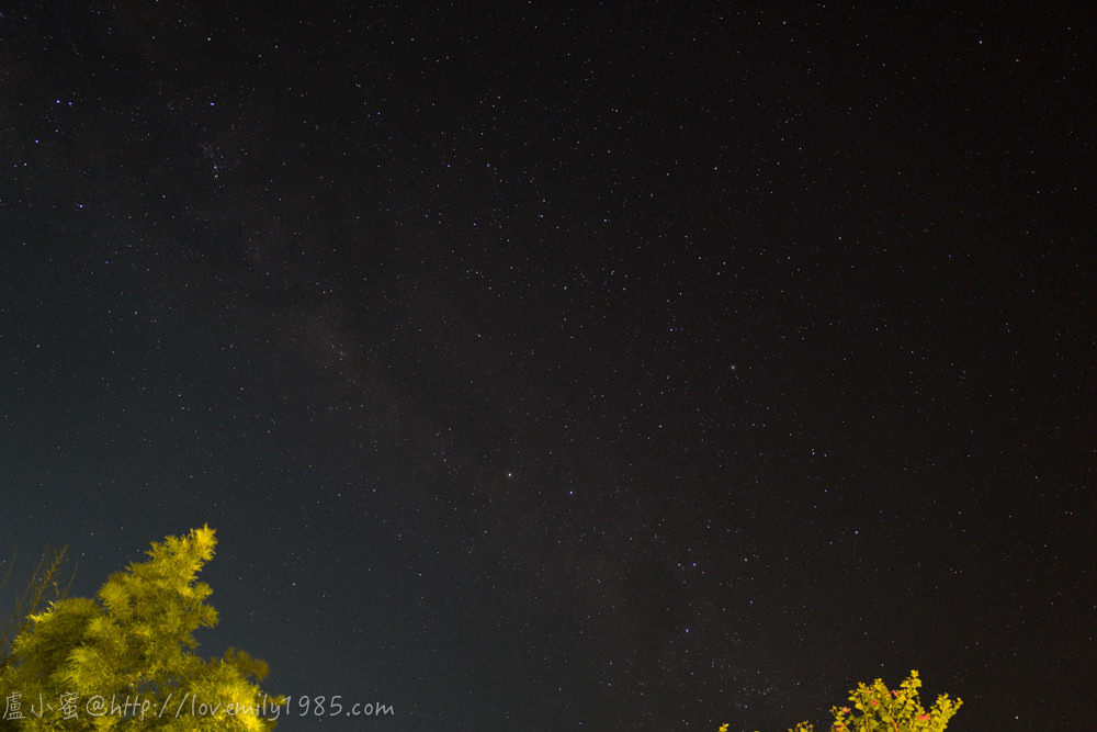 20241012-mcp80
