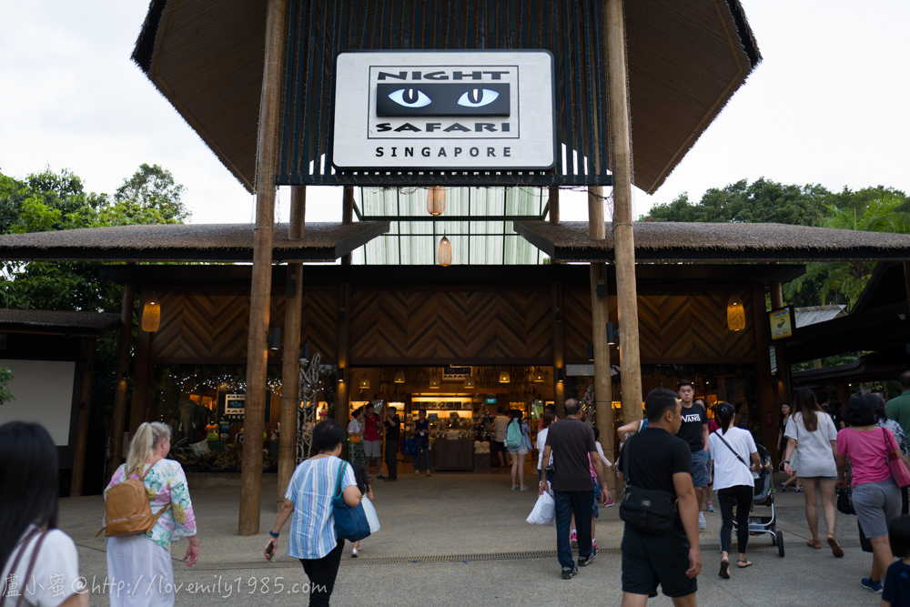 【新加坡親子遊】新加坡夜間動物園Night Safari～終極反推文！不知道在紅什麼，超無言+暴走的，對比清邁夜間動物園