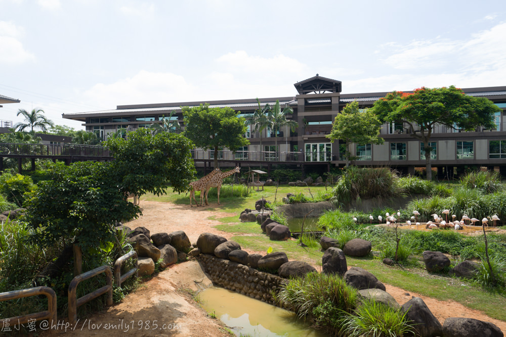 【新竹親子飯店】關西六福莊生態度假旅館/Leofoo Resort Guanshi。亞洲唯一結合自然生態教育與草食性動物渡假飯店(肯亞綠地樓中樓/早餐篇)