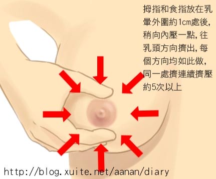【母奶篇】Part1-成為乳牛的發奶之路 - 第64張圖