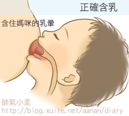 【母奶篇】Part1-成為乳牛的發奶之路 - 第75張圖