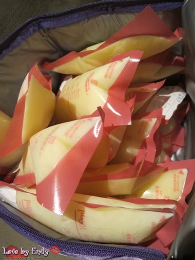 【母奶篇】Part1-成為乳牛的發奶之路 - 第1張圖