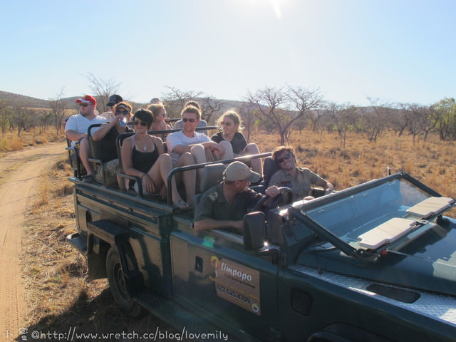 旅遊新地圖。South Africa。　Day6-3　馬布拉野生動物保護區【敞篷狩獵趣。夕陽】